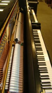 Confused between acoustic piano actions and digital piano actions? This article can help.