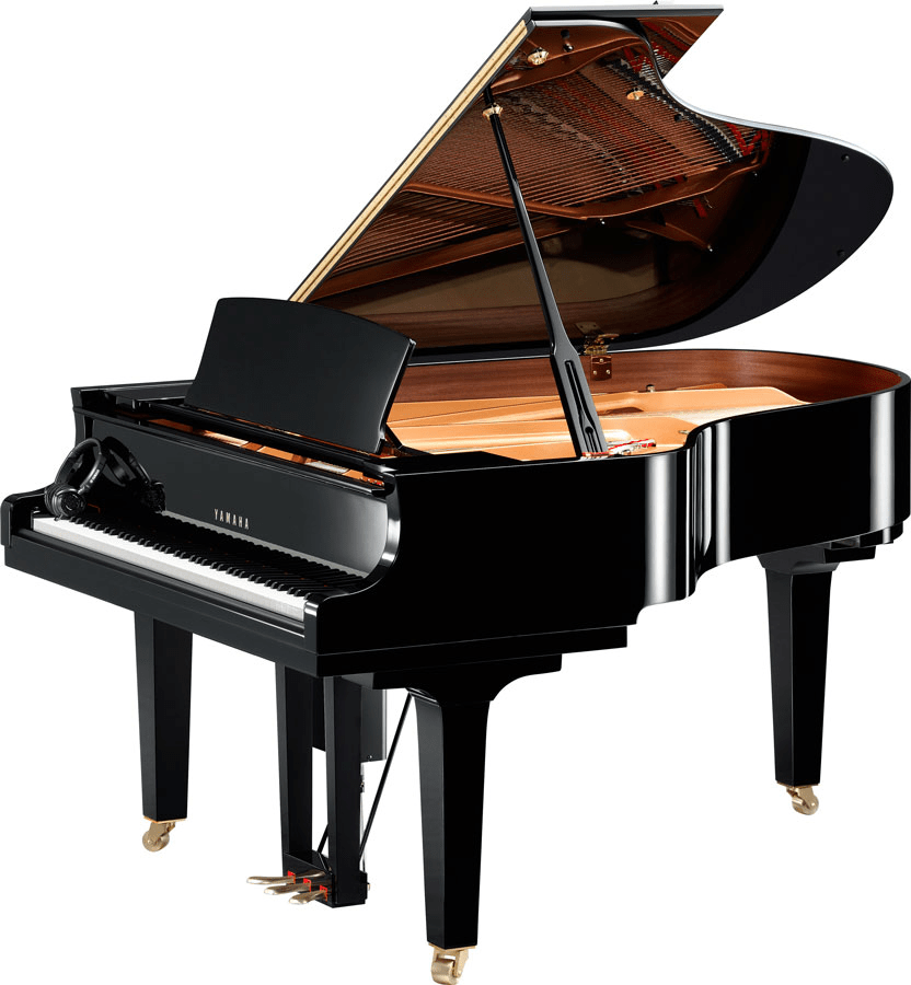 Disklavier Enprise, the most innovative musical instrument in the market today.