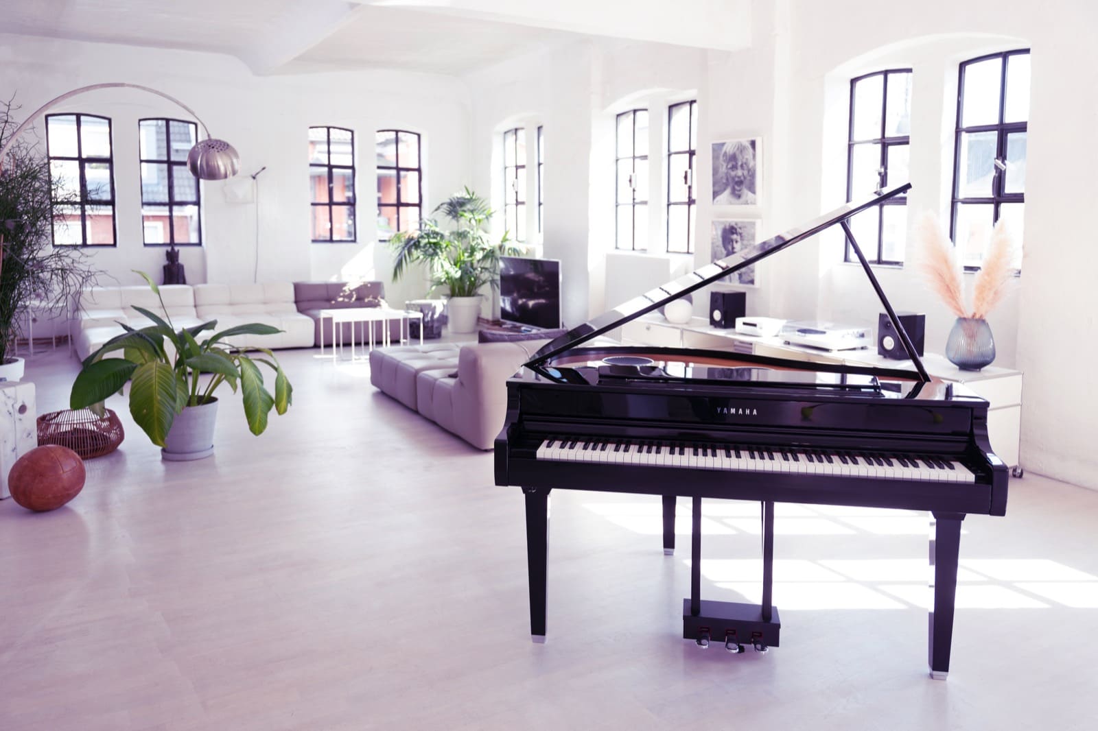 Polished Ebony CLP 700 Grand Piano Living Room With Plants