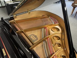 Top Down View of Bergmann Grand Piano