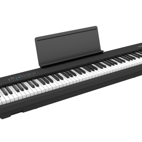 Roland FP-30X Digital Piano - Portable