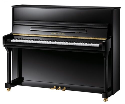Polished Ebony