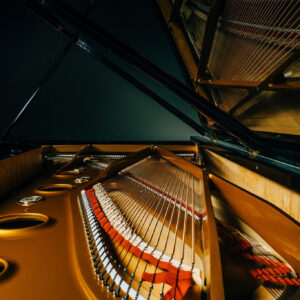 Inside view of a Seiler SE-278 Konzert grand piano, showing the strings, plate, and harp under the open lid.