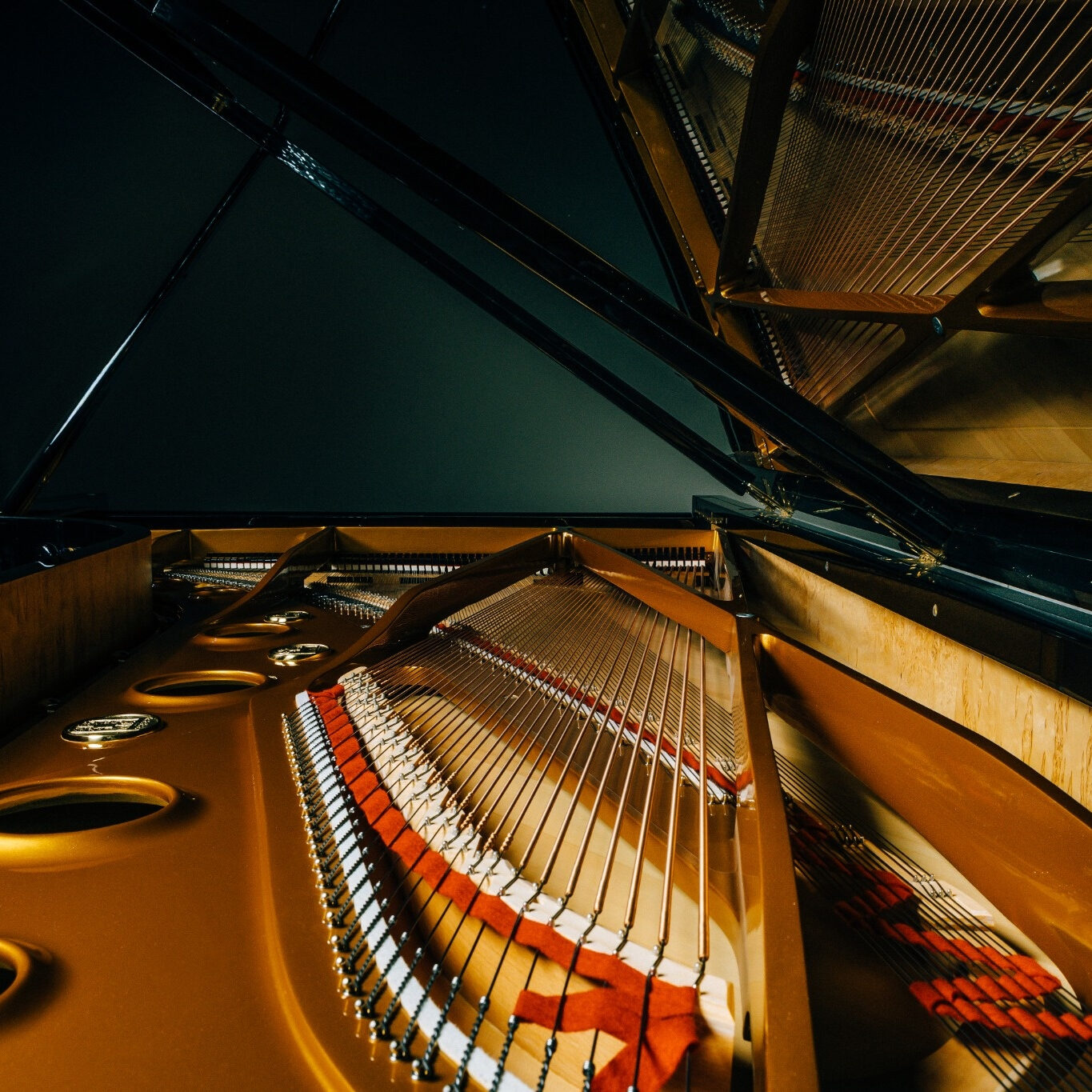 Inside view of a Seiler SE-278 Konzert grand piano, showing the strings, plate, and harp under the open lid.