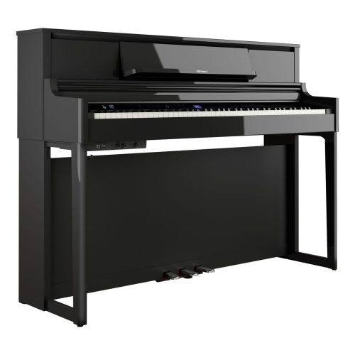 Polished Ebony
