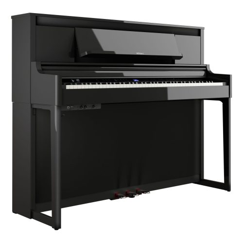 Polished Ebony