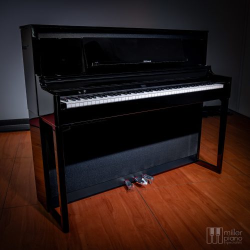 Polished Ebony