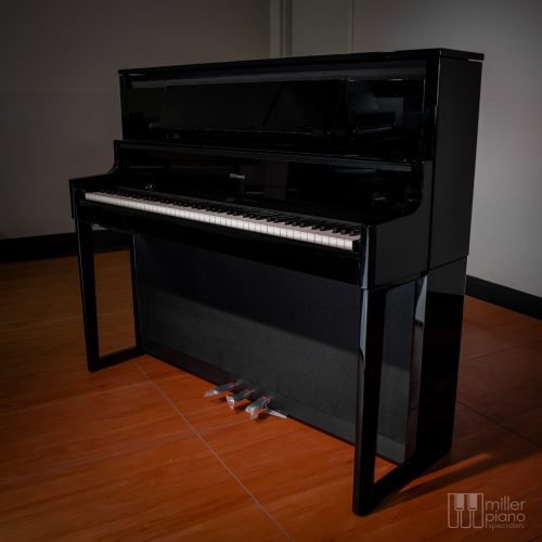 Polished Ebony